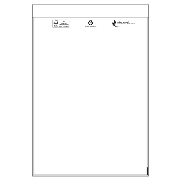 Dokumententasche Standard, ohne Druck, DIN C4 | 230 x 315 mm (Offene Seite x L) | VE = 1000 Stk.